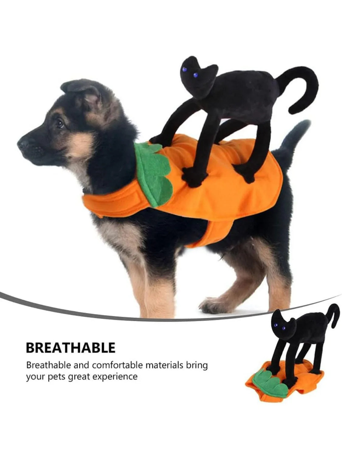 Pet Pumpkin & Black Cat Dress Costume