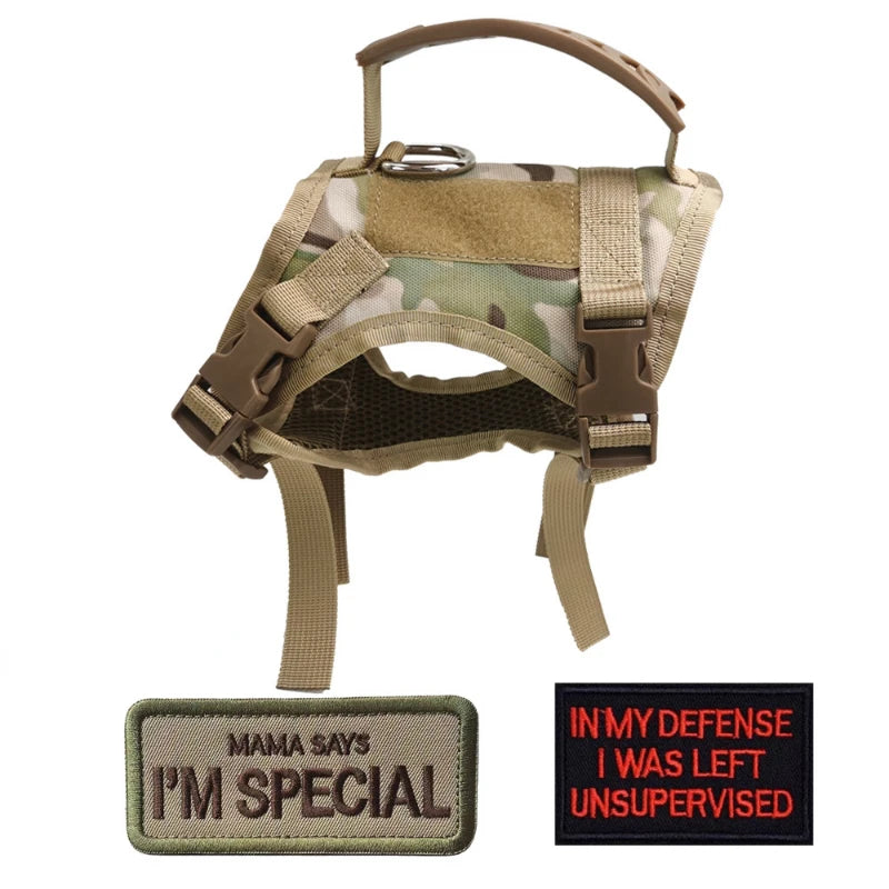 Tactical Dog Harness & Leash Set