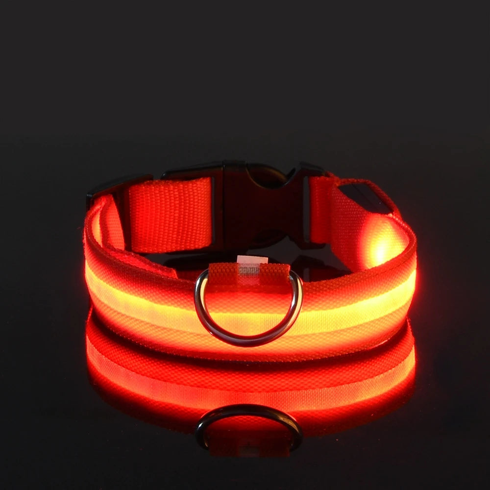 LED Night Safety Dog Leash and Collar