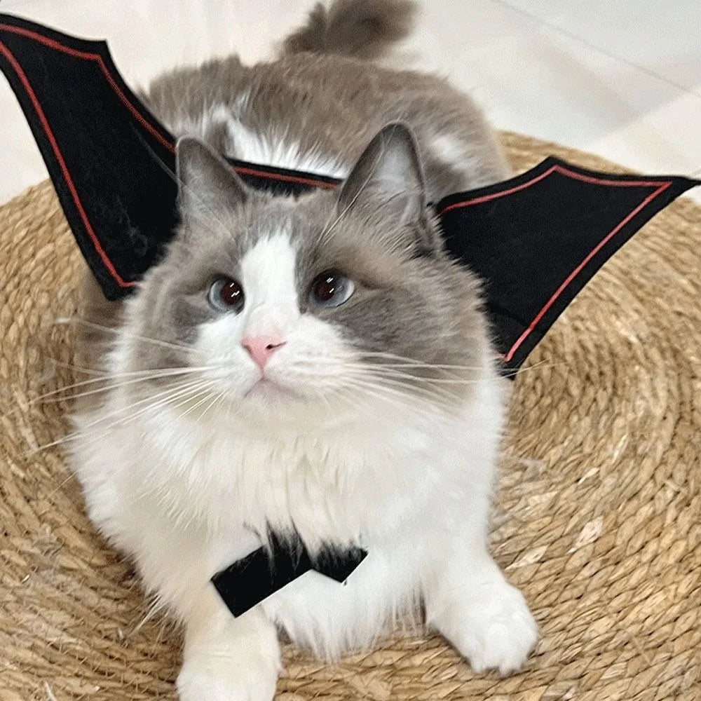 Bat Wing Cat Costume