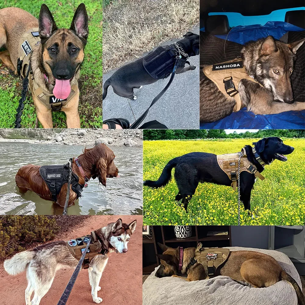 Large Tactical Dog Harness for Training
