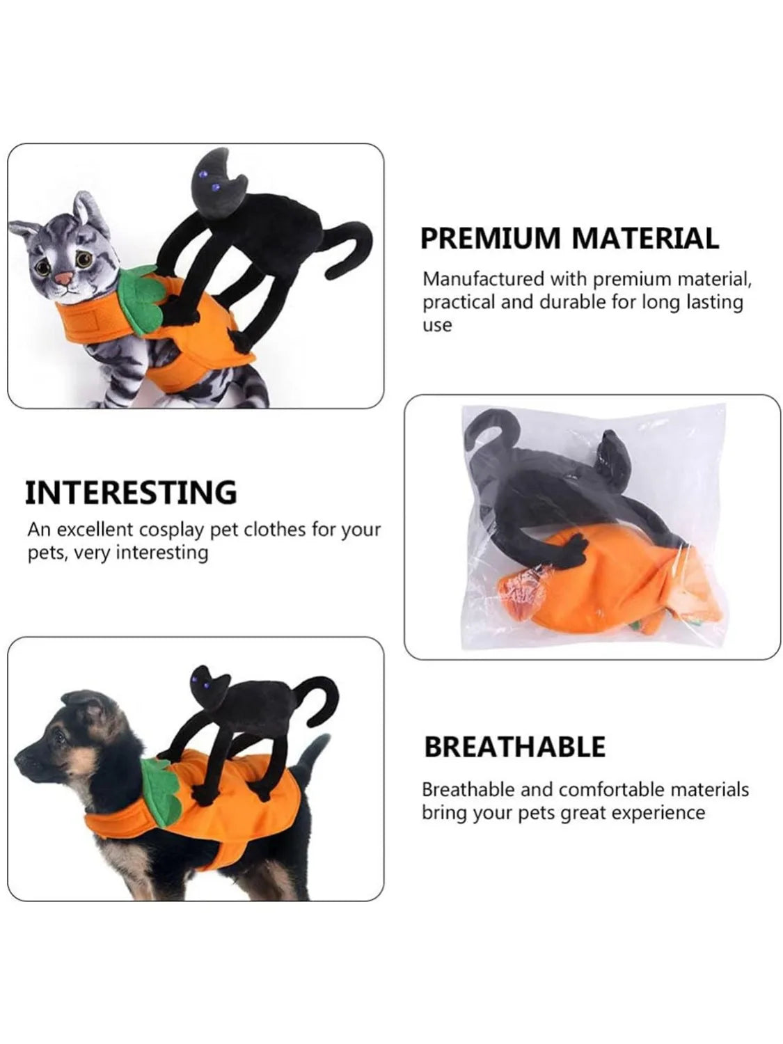 Pet Pumpkin & Black Cat Dress Costume
