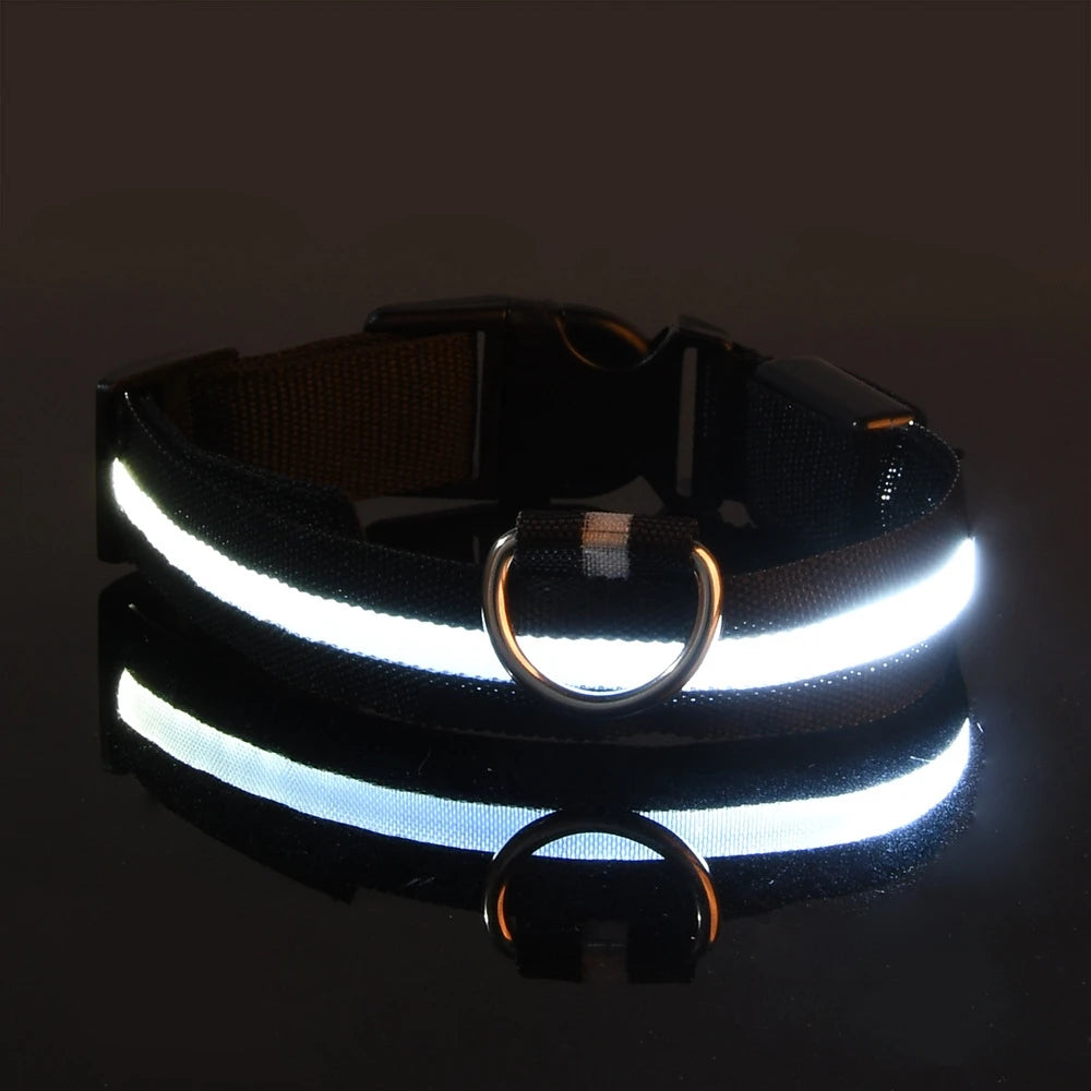 LED Night Safety Dog Leash and Collar
