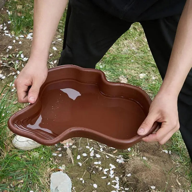 Reptile Feeding Dish and Bathing Pool