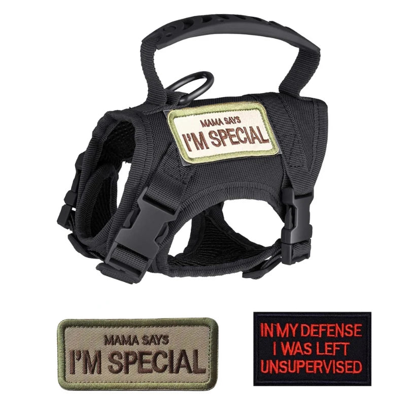 Tactical Dog Harness & Leash Set