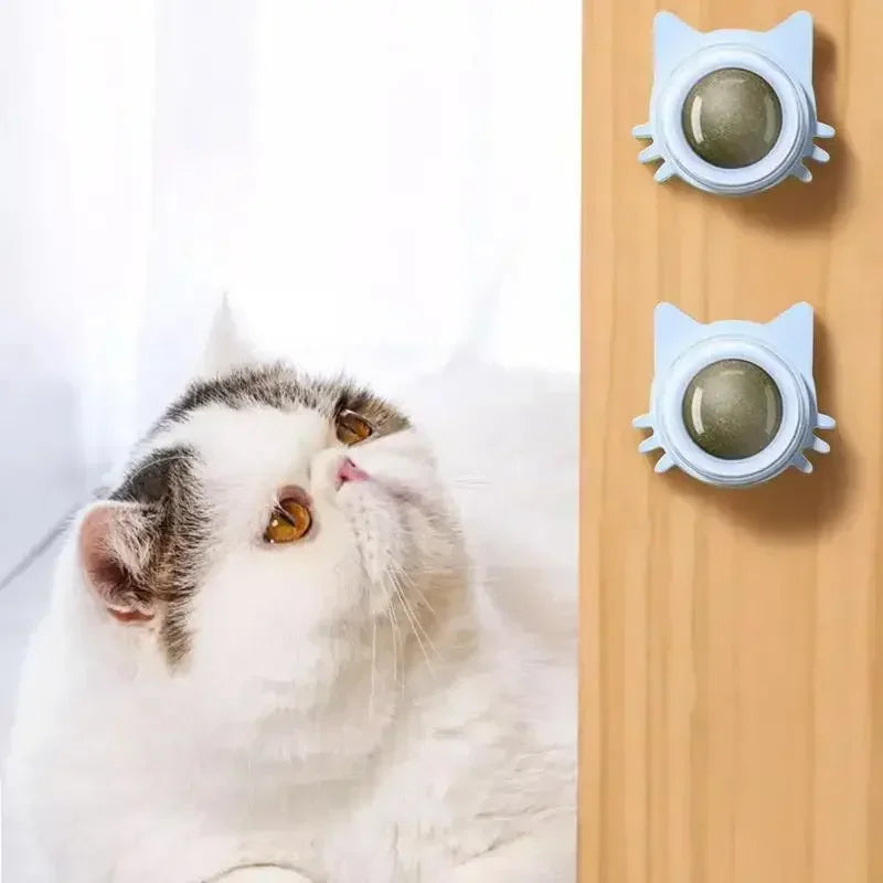 Catnip Ball Chewing Toy
