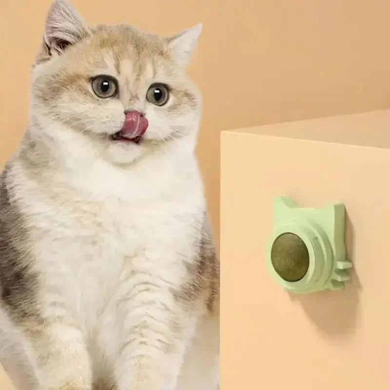Catnip Ball Chewing Toy