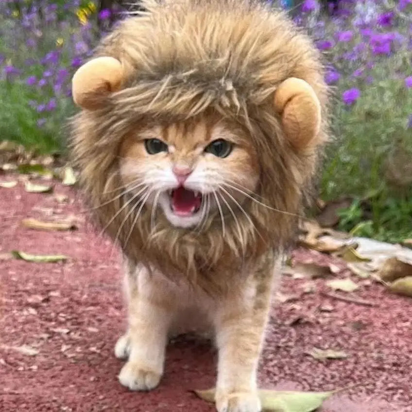 Cute Cat Wig with Lion Mane Ears