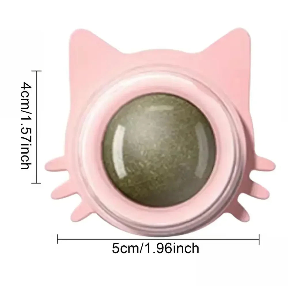 Catnip Ball Chewing Toy