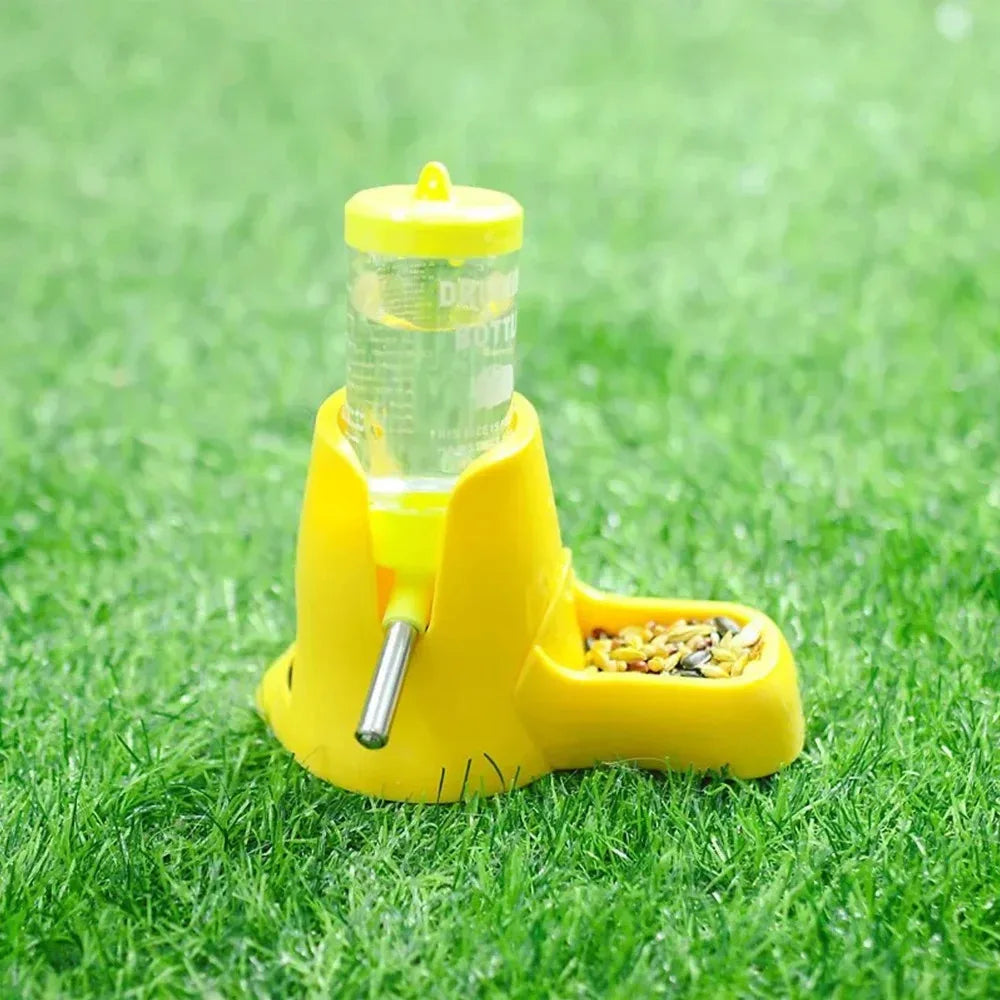 Bird Training Ring Toy (Parrot Educational Set)