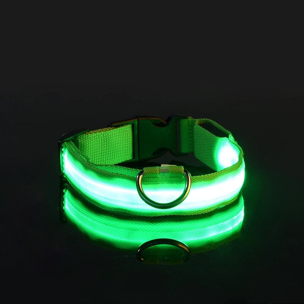 LED Night Safety Dog Leash and Collar