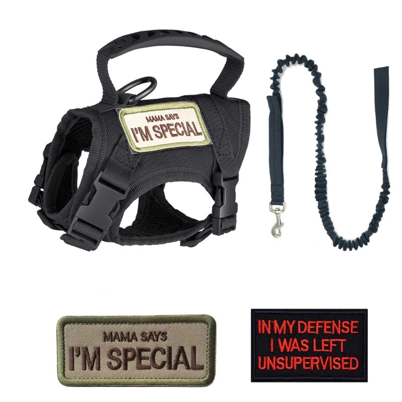 Tactical Dog Harness & Leash Set