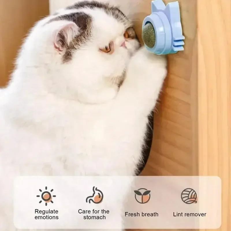 Catnip Ball Chewing Toy