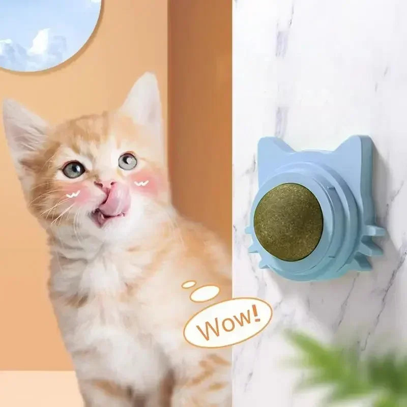 Catnip Ball Chewing Toy