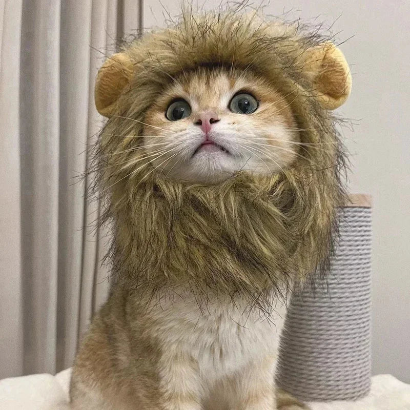 Cute Cat Wig with Lion Mane Ears