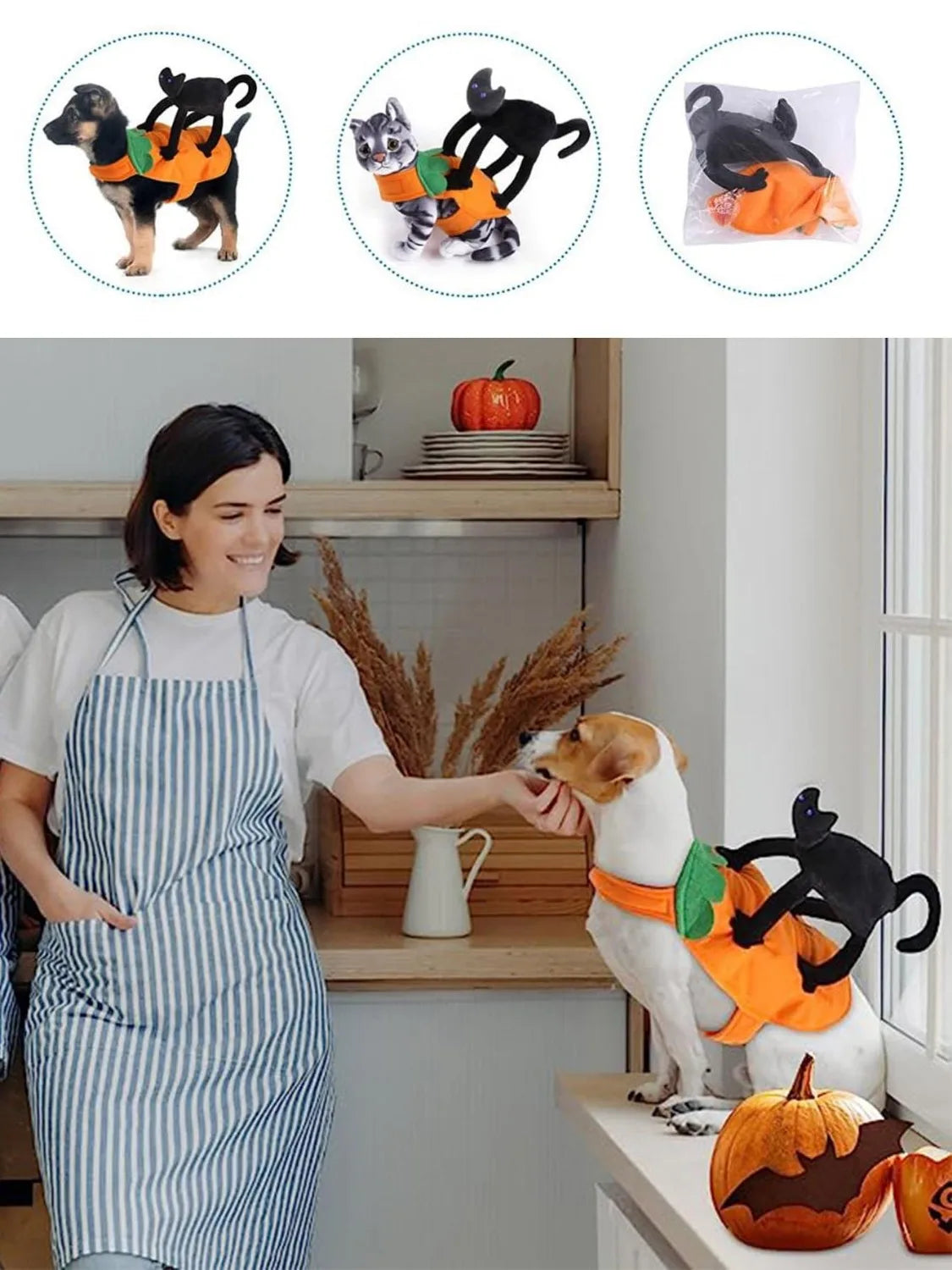 Pet Pumpkin & Black Cat Dress Costume