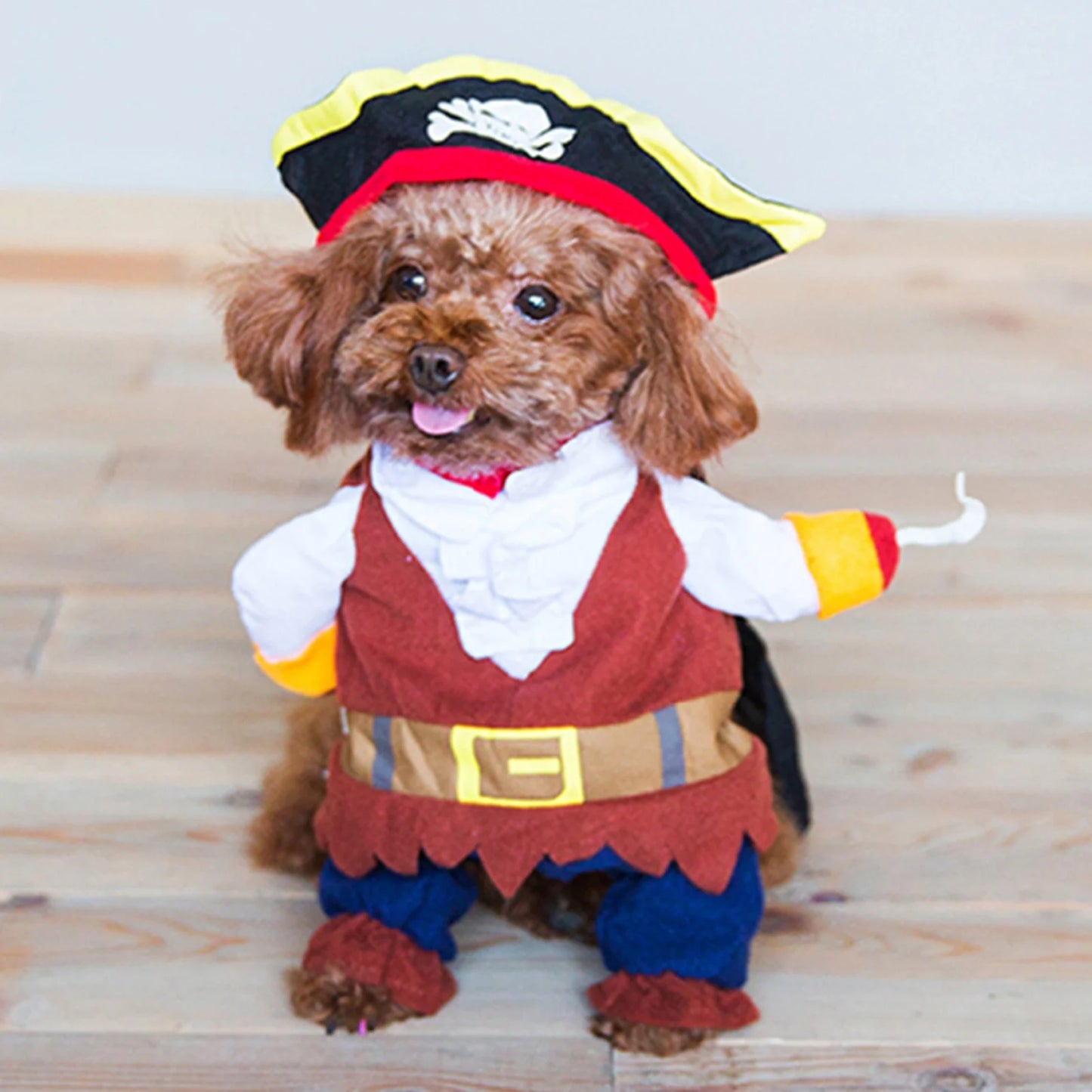 Pirate Costume for Cats & Dogs