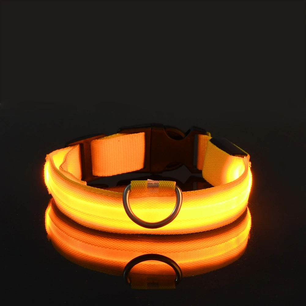 LED Night Safety Dog Leash and Collar