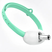 Laser Pointer Collar for Cats