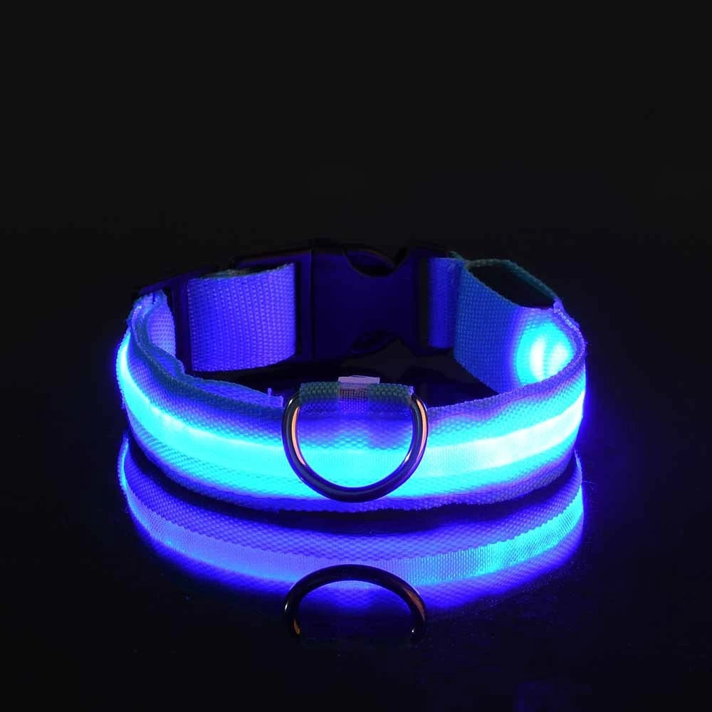 LED Night Safety Dog Leash and Collar