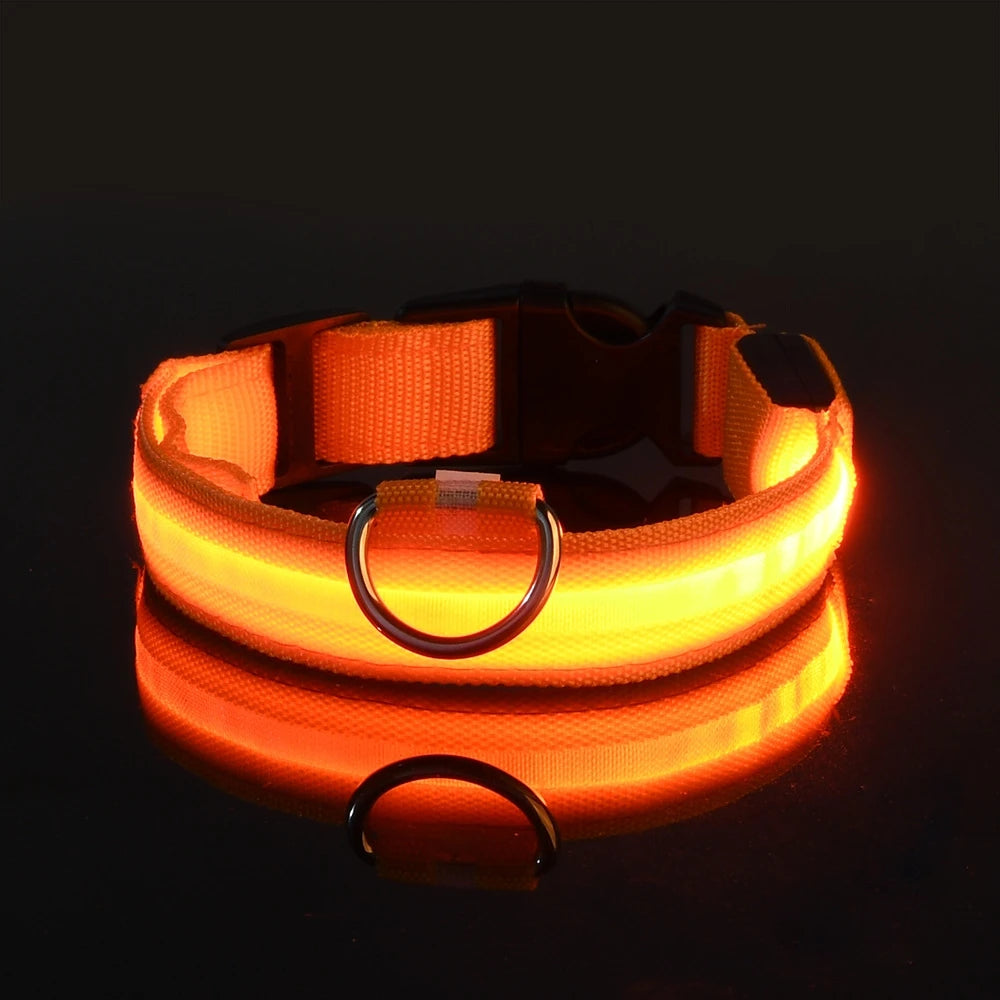 LED Night Safety Dog Leash and Collar