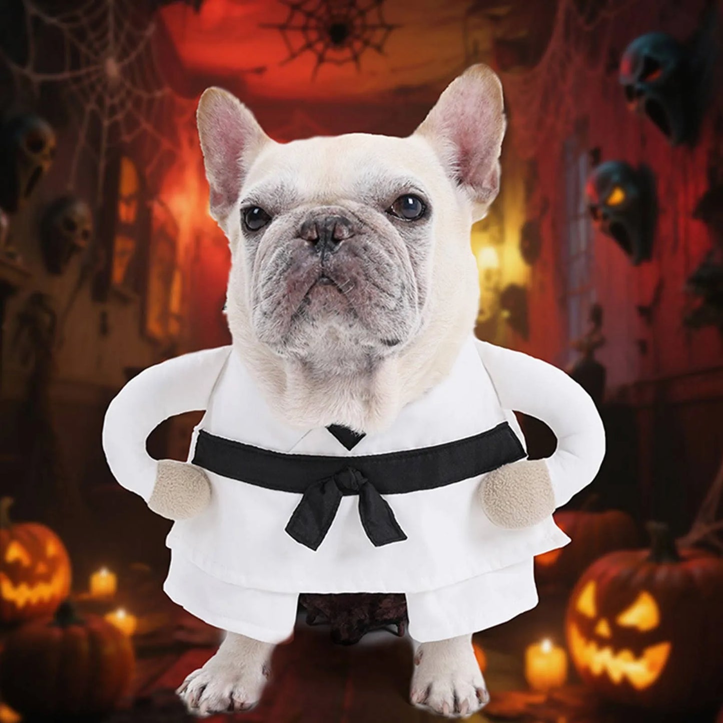 Karate Dog Costume (Ninja Warrior Edition)