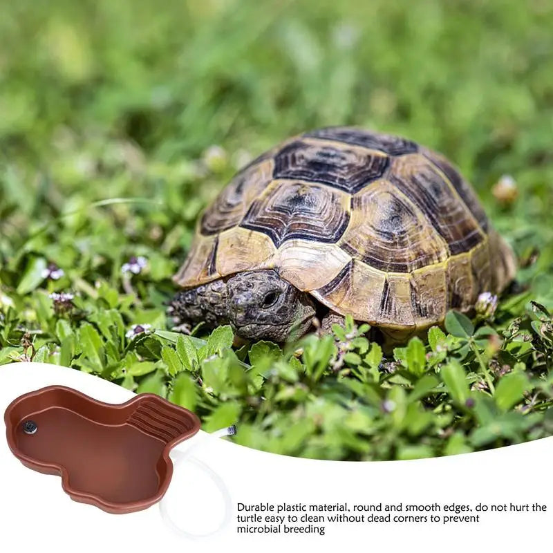 Reptile Feeding Dish and Bathing Pool