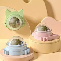 Catnip Ball Chewing Toy