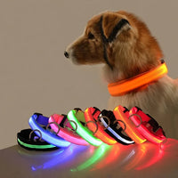 LED Night Safety Dog Leash and Collar