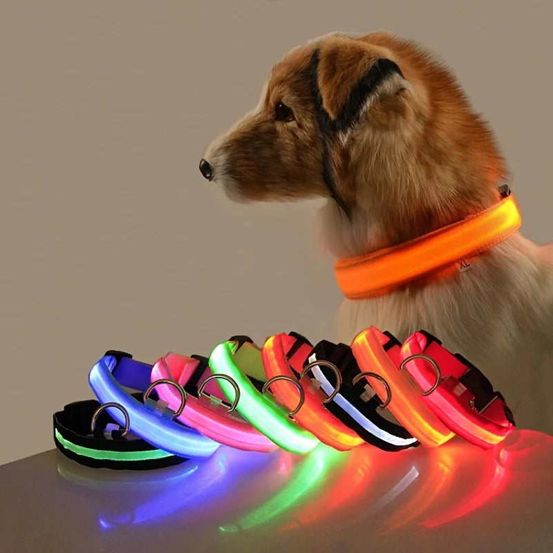 LED Night Safety Dog Leash and Collar