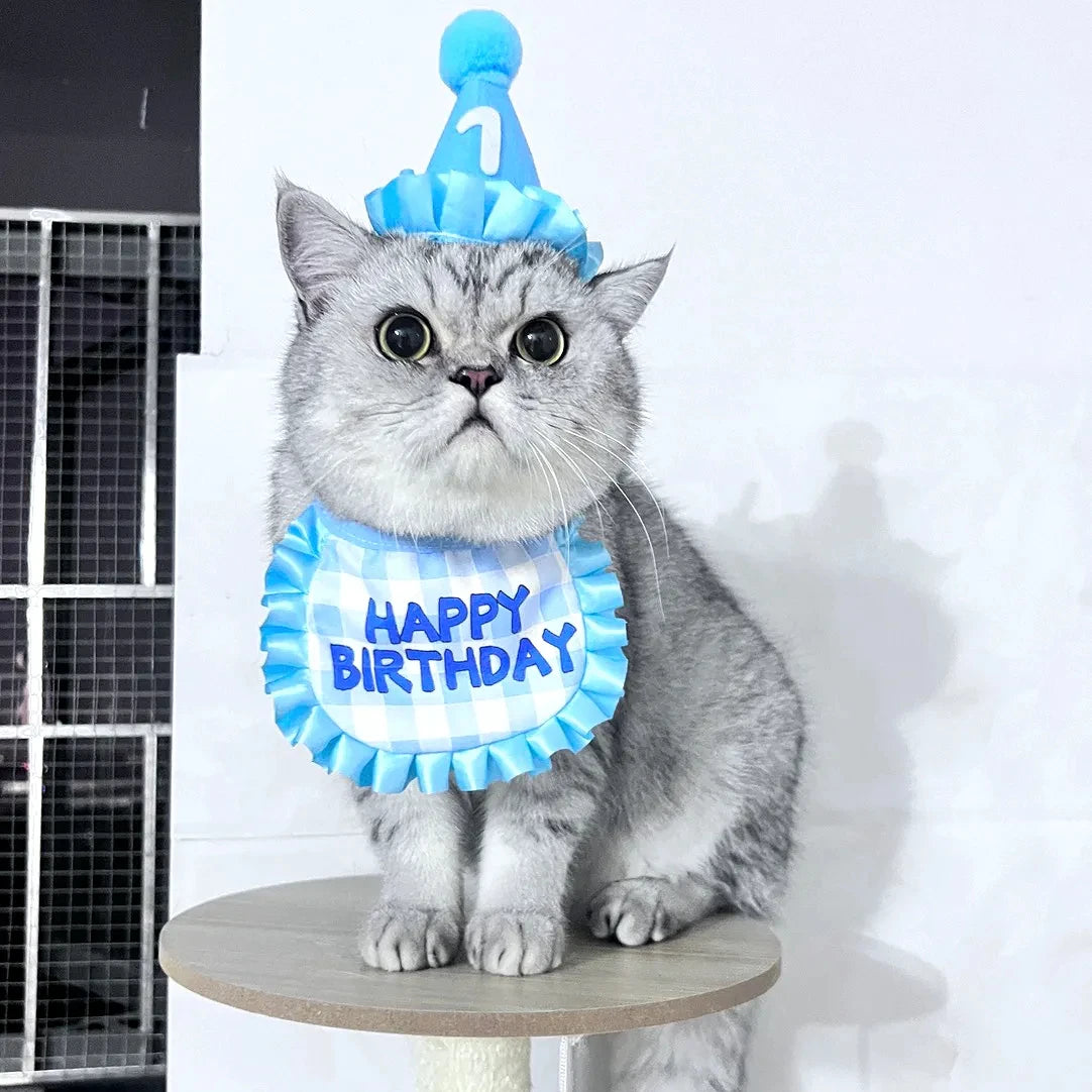 Cat Birthday Scarf and Hat Set