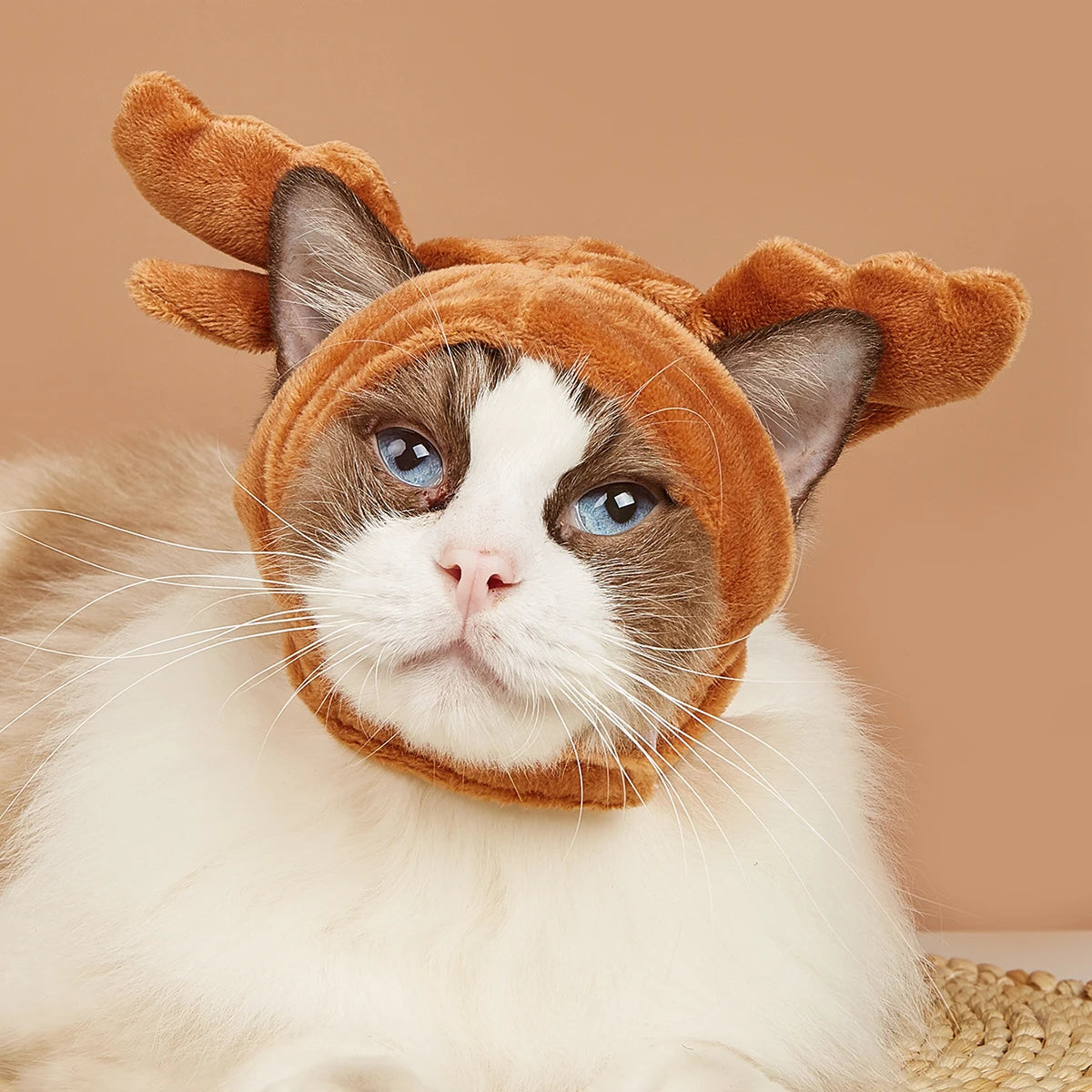 Cat Shark Headdress & Dog Elk Hat Combo