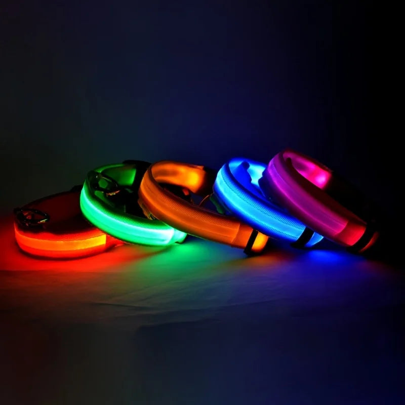 LED Night Safety Dog Leash and Collar