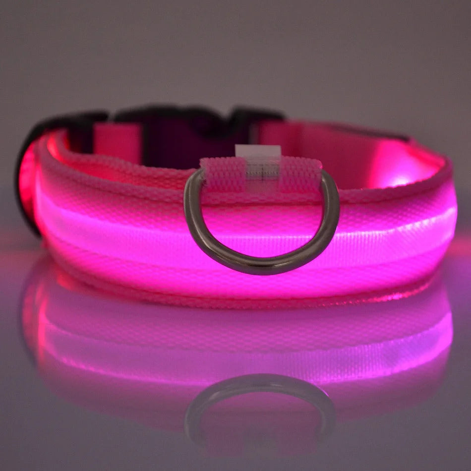 LED Night Safety Dog Leash and Collar