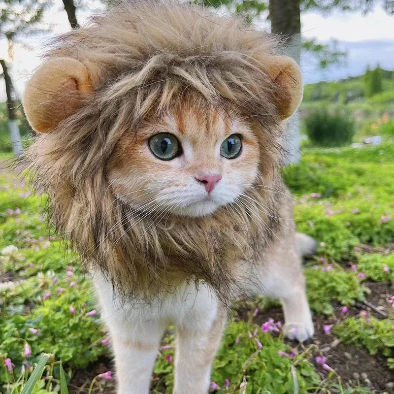 Cute Cat Wig with Lion Mane Ears