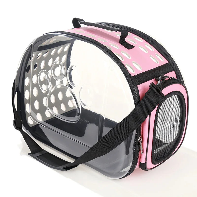 Transparent Cat Travel Backpack
