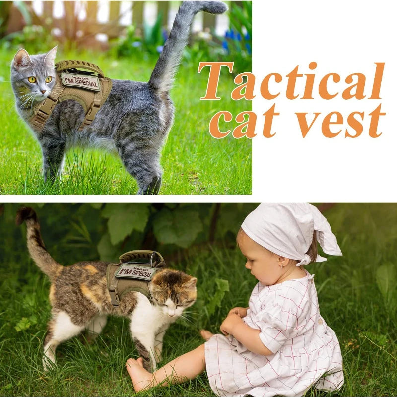 Tactical Dog Harness & Leash Set