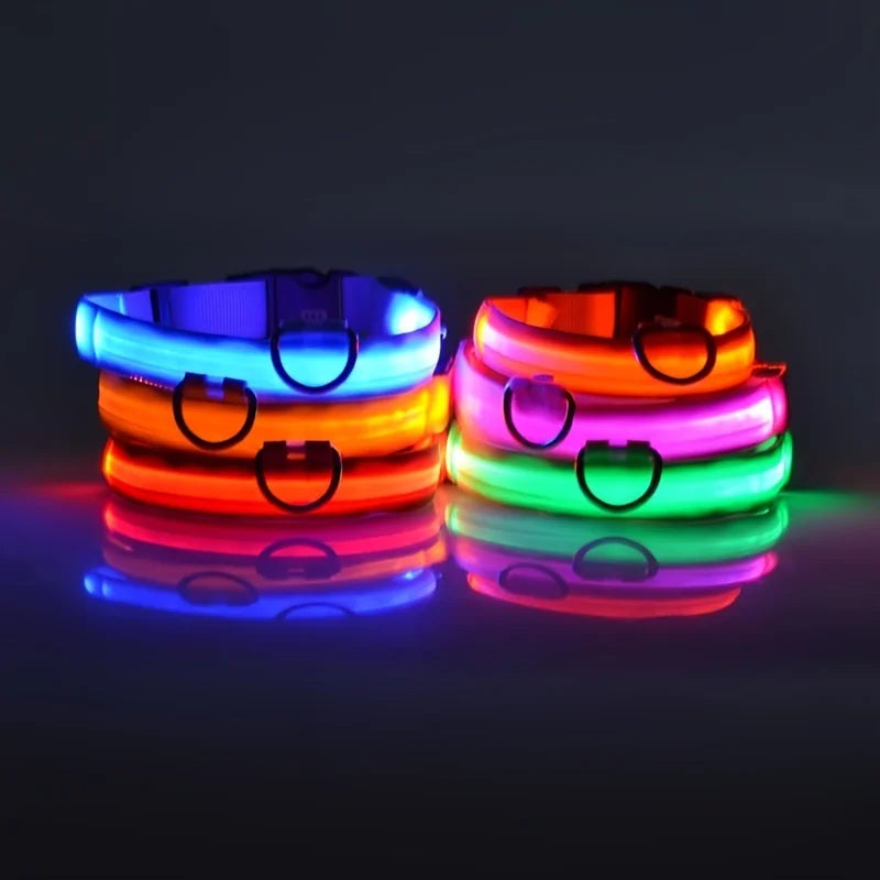 LED Night Safety Dog Leash and Collar