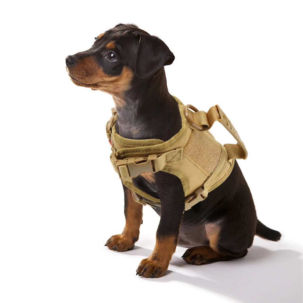 Tactical Puppy Harness Leash Set
