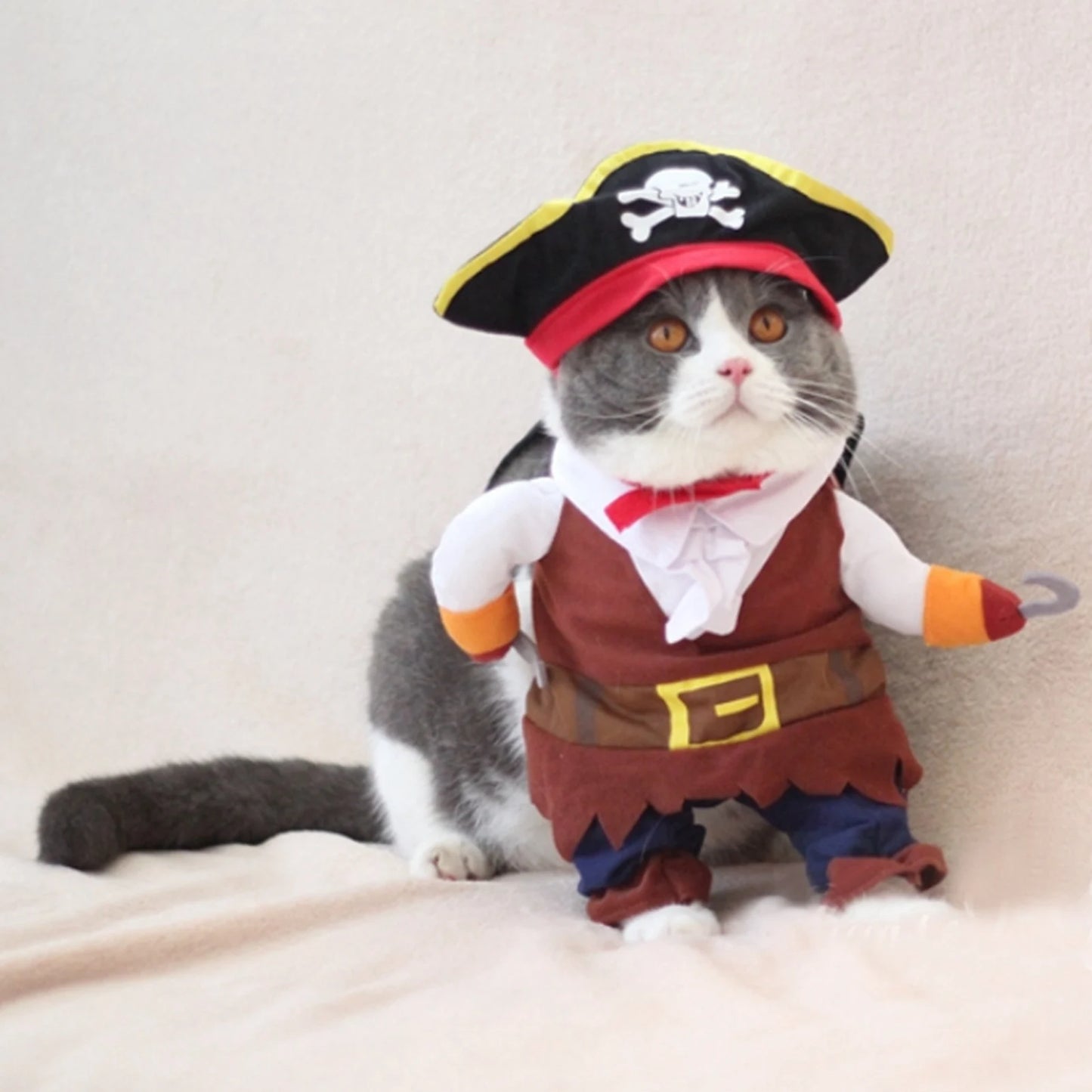 Pirate Costume for Cats & Dogs