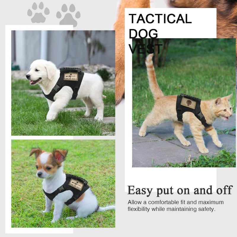 Tactical Dog Harness & Leash Set