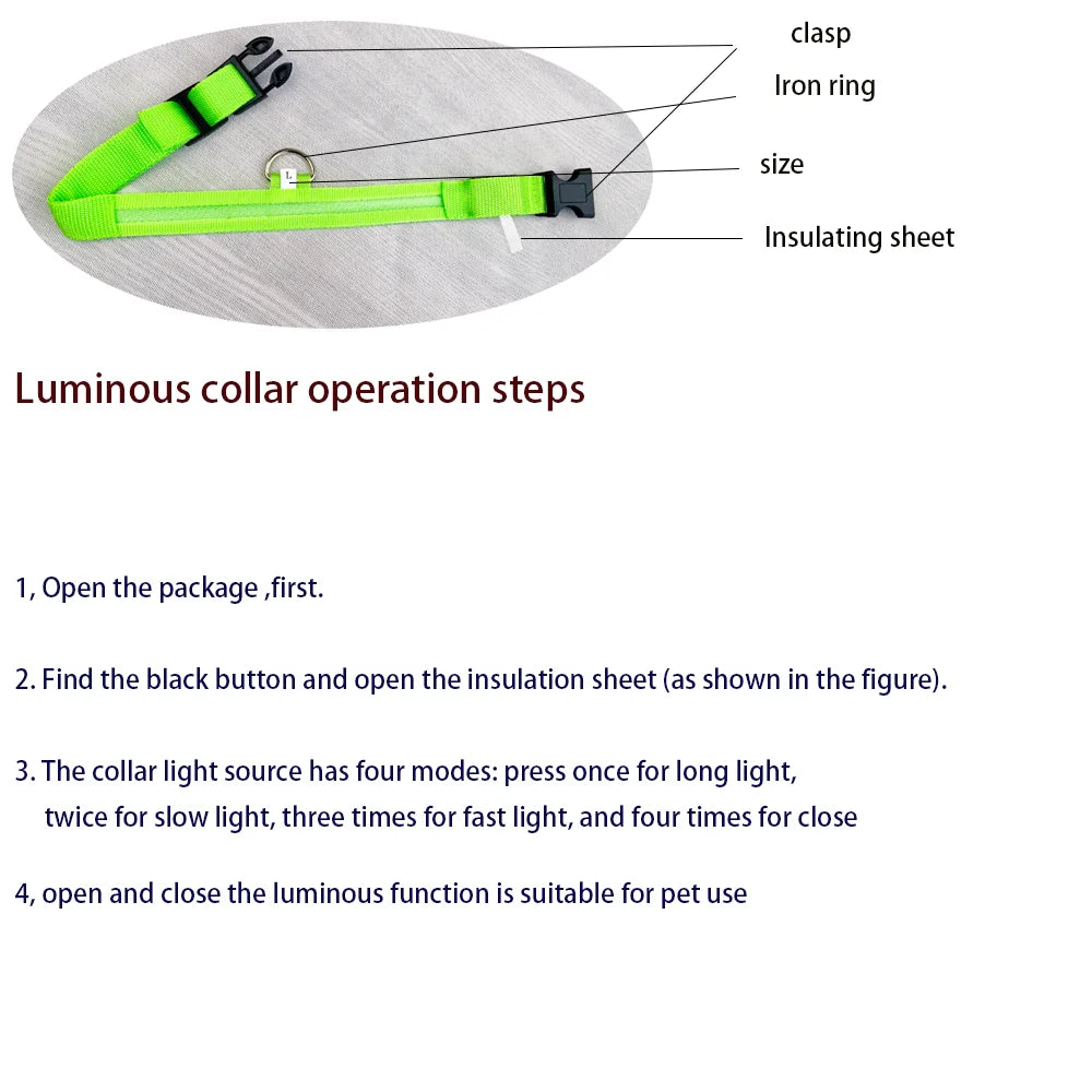 LED Night Safety Dog Leash and Collar