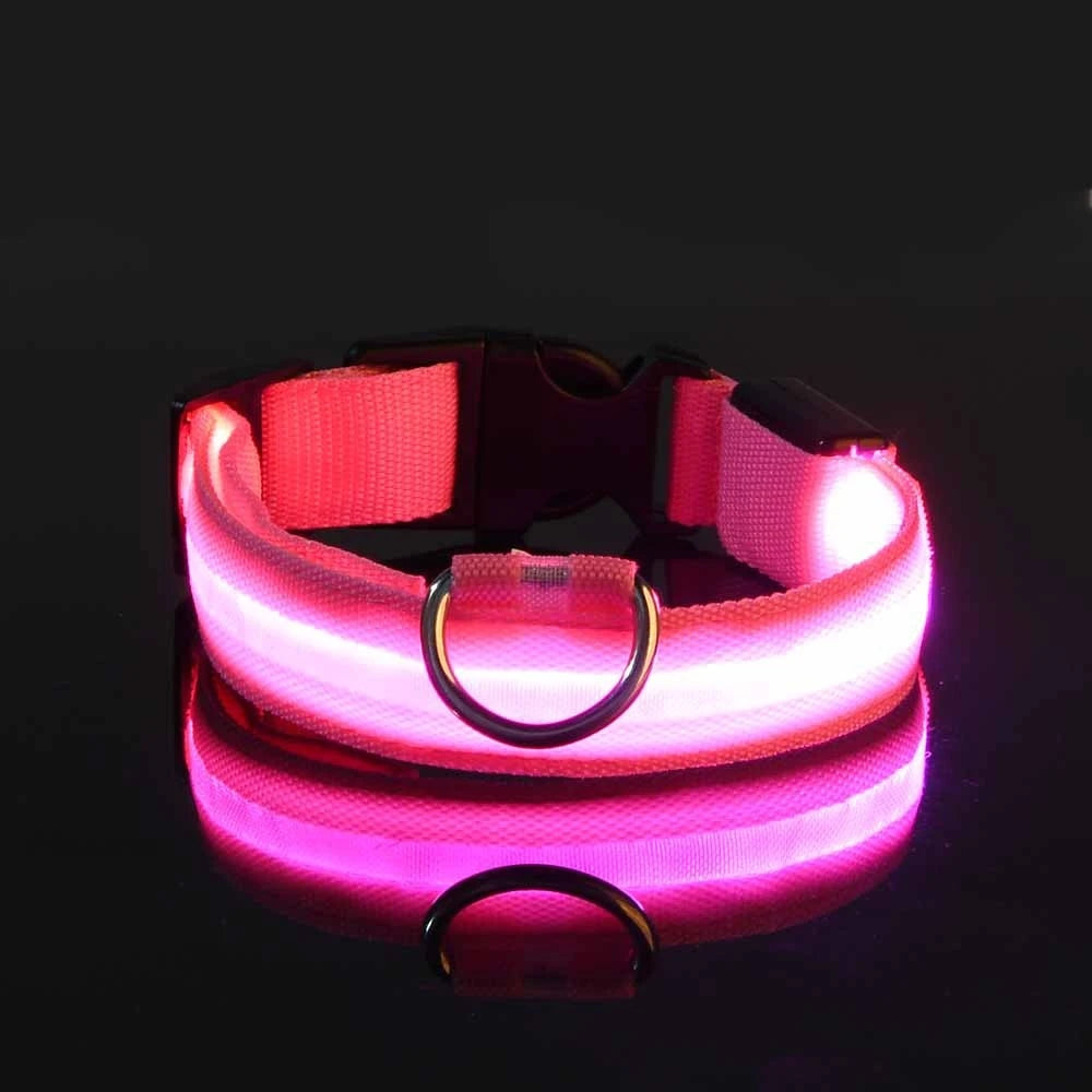 LED Night Safety Dog Leash and Collar