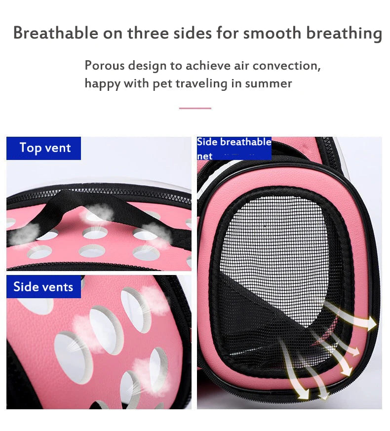 Transparent Cat Travel Backpack
