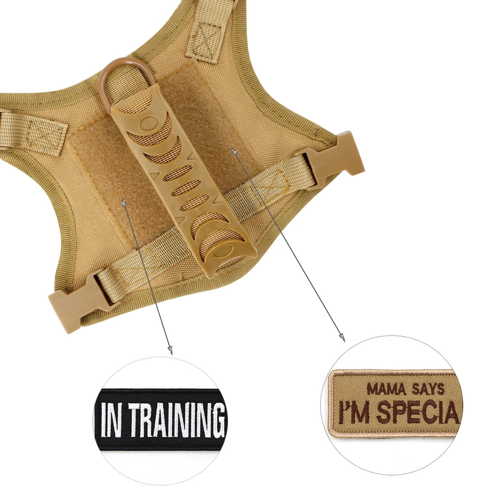 Tactical Puppy Harness Leash Set