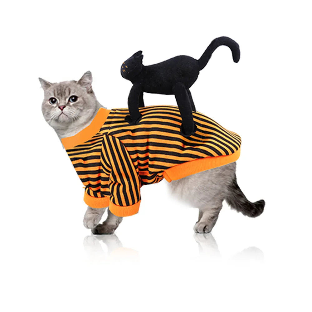 Cross-Dressing Pet Costume (All Saints Edition)