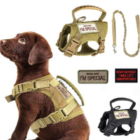 Tactical Dog Harness & Leash Set