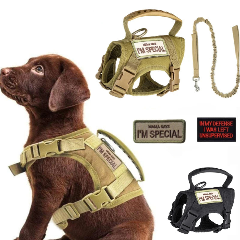 Tactical Dog Harness & Leash Set