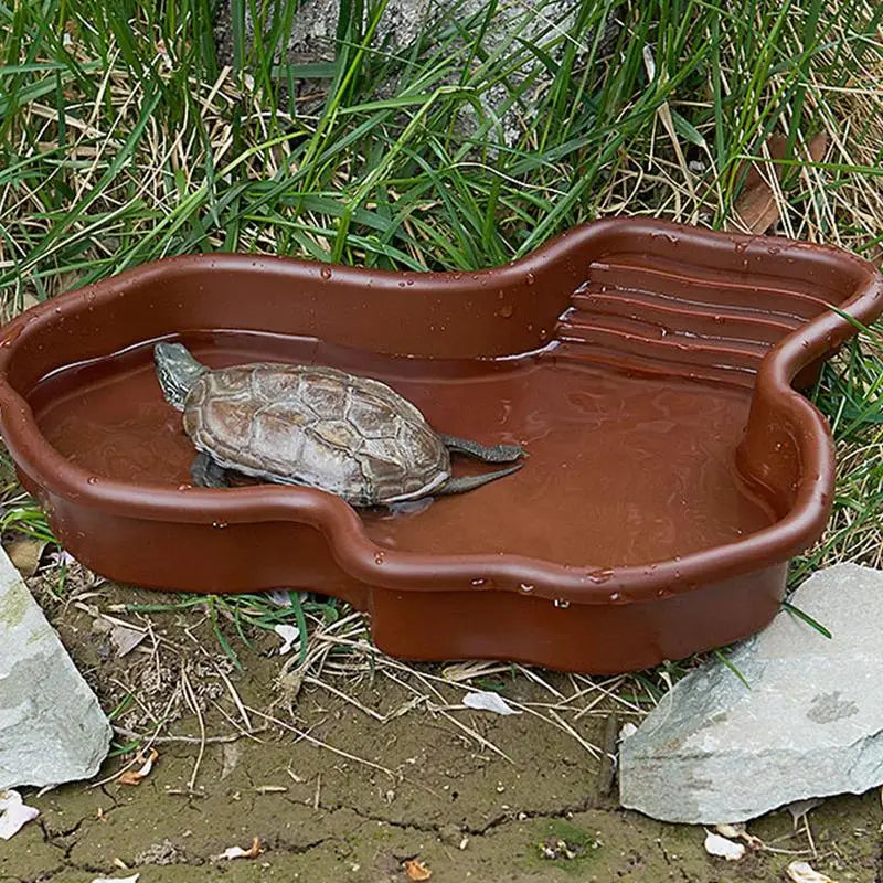 Reptile Feeding Dish and Bathing Pool