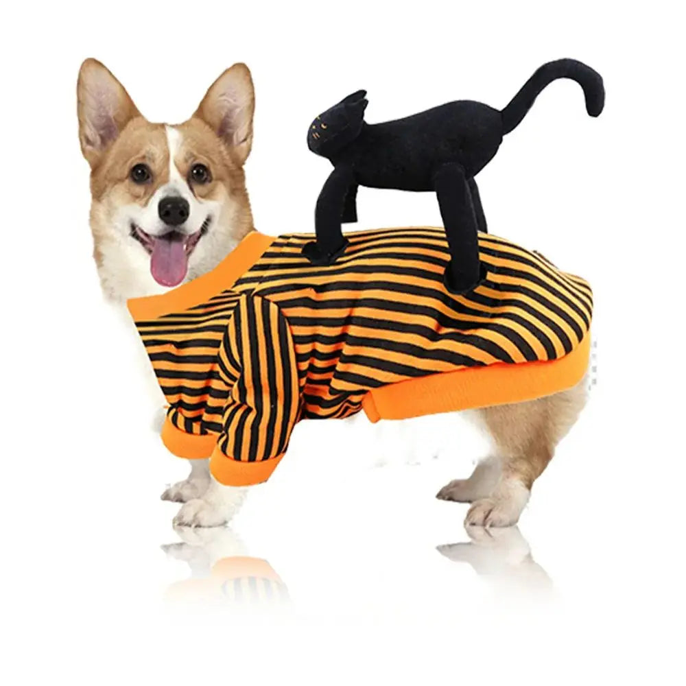Cross-Dressing Pet Costume (All Saints Edition)